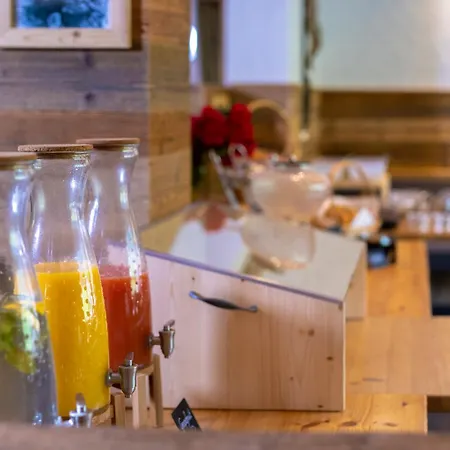 伽姆萨尔姆公寓式酒店 公寓式酒店 Kals-am Großglockner