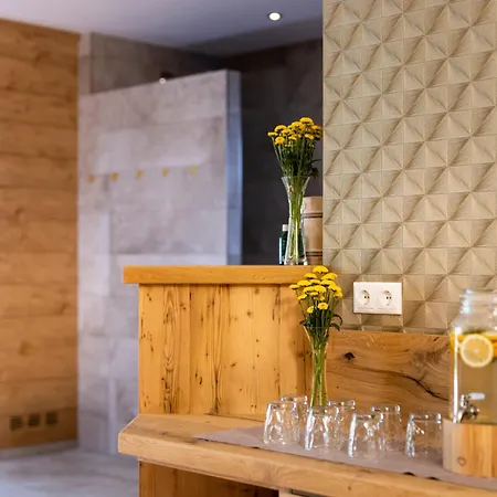 伽姆萨尔姆公寓式酒店 Kals-am Großglockner